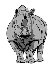 Vector image of a rhinoceros