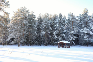 wooden gazebo in forest in winter sunny day