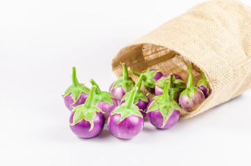 eggplant in sack bag