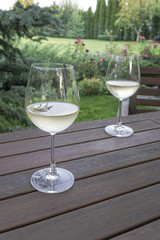 white wine glasses on wooden table at garden