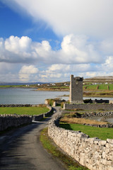 Ruins of Shanmuckinish Castle near Muckinish West, Ireland