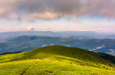 Fototapeta na wymiar grassy slopes and boulders of mountain ridge in afternoon. beautiful summer scenery of the Runa mountain of Ukrainian Carpathians