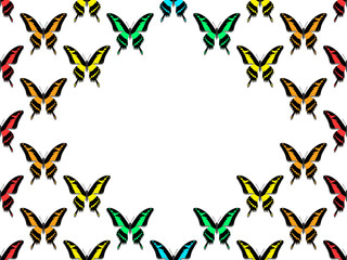 seamless pattern, butterflies of all colors of the rainbow
