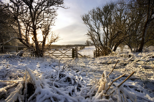 Winter Morning - Yorkshire Dales - England