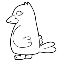 cartoon bird