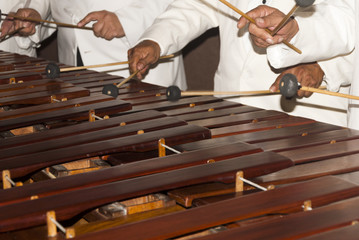National instrument of Guatemala made with Hormigo, Platymiscium dimorphandrum  wood the marimba keyboard.  - obrazy, fototapety, plakaty