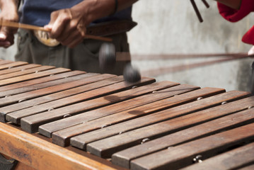 National instrument of Guatemala made with Hormigo, Platymiscium dimorphandrum  wood the marimba keyboard. 
