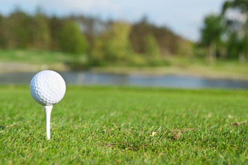 Golf ball on the tee, golf course of Adare in Ireland
