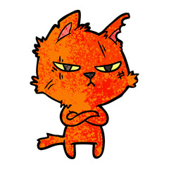 tough cartoon cat folding arms