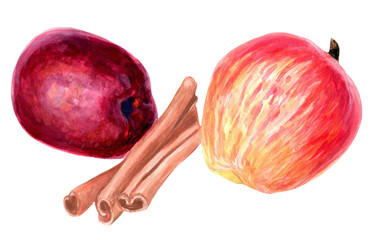 Apples and cinnamon sticks watercolor clip art hand painted illustration food and drink collection fruits 