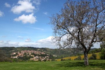 Tuscan landscape