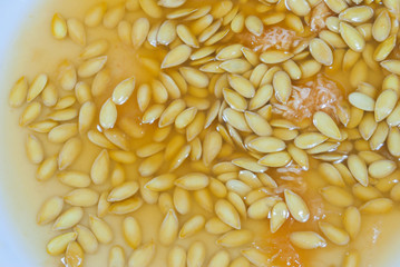 Seed detail on plate of melon with lots of juice. Cucumis melo.