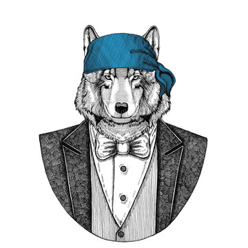 Wolf Dog Wild biker, pirate animal wearing bandana Hand drawn image for tattoo, emblem, badge, logo, patch, t-shirt