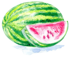 Watermelon watercolor illustration hand painted fruit vegetable collection summer berry  