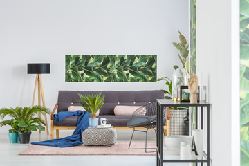 Plants in green living room