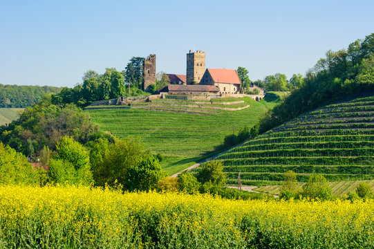 Burg in Brackenheim-Neipperg
