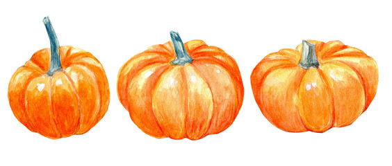 Pumpkins  watercolor clipart harvest fall autumn Halloween holidays Thanksgiving vegetables and fruits collection food  