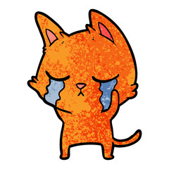 crying cartoon cat