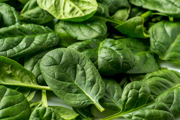 spinach on white background