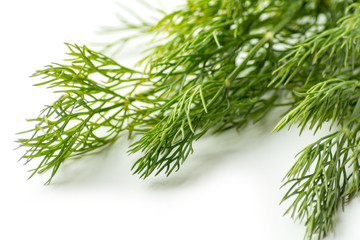 fennel on a white background