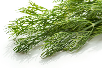 fennel on a white background