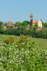 Fototapeta na wymiar Schloss Stocksberg über Brackenheim-Stockheim