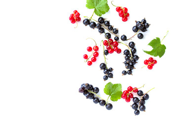 Berries of black and red currants isolated on white background. Still life, diet and nutrition...