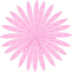 Pink Daisy