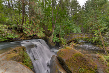 Obraz premium Beside the Waterfall in Whatcom Falls Park Washington State USA