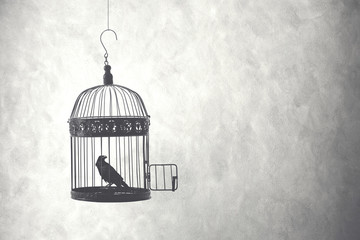 bird inside birdcage