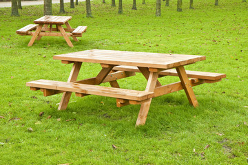 Two wooden picnic table on a green meadow with trees on background