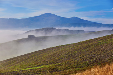 Landscape of San Quirico d'Orcia, Tuscany, Italy