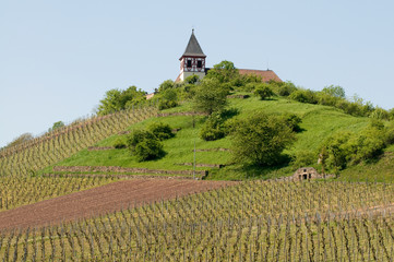Michaelsberg bei Cleebronn