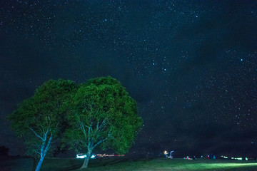 star at night  above the tree , Doi Samer-Dao in Si Nan National Park,  Nan province in Thaoand...