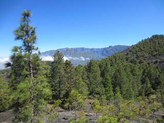 Fototapeta na wymiar La Palma