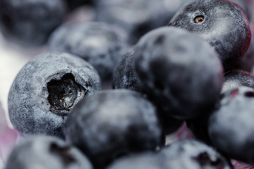 Close Up of Blueberry