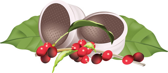 cialde e bacche rosse del caffè