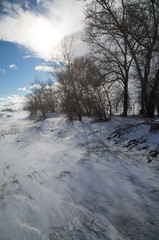 Wind blown snow along the tree line