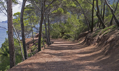 Coastal path in Mallorca