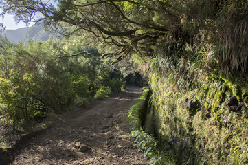 Fototapeta premium Levada do Risco, touristic hiking trail, Rabacal, Madeira island, Portugal