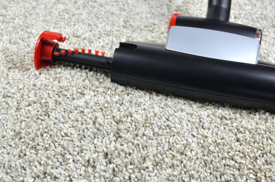 Pet hairs vacuum cleaner brush on grey shaggy carpet surface