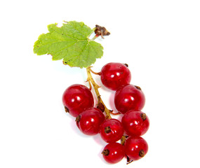 Close up view of red currant berry isolated on white background. A bunch of red currant with small green leaf of red currant bush.