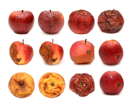 Rotten Apple Images – Browse 13,475 Stock Photos, Vectors, and Video