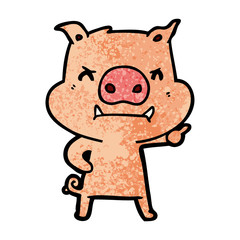 angry cartoon pig