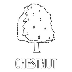 Chestnut icon. Outline illustration of chestnut vector icon for web