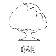 Oak icon. Outline illustration of oak vector icon for web