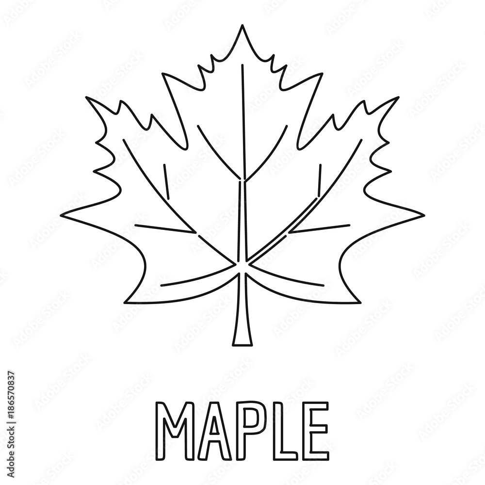 Poster maple leaf icon. outline illustration of maple leaf vector icon for web