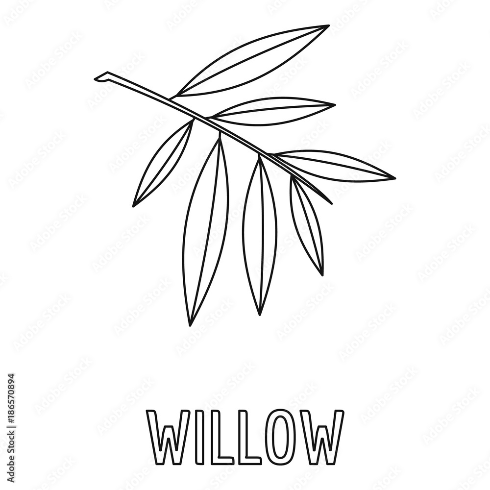 Poster willow branch icon. outline illustration of willow branch vector icon for web