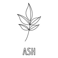 Ash leaf icon. Outline illustration of ash leaf vector icon for web