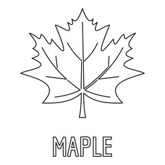 Maple leaf icon. Outline illustration of maple leaf vector icon for web